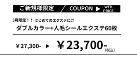 ダブルカラー＋シールエクステ60枚