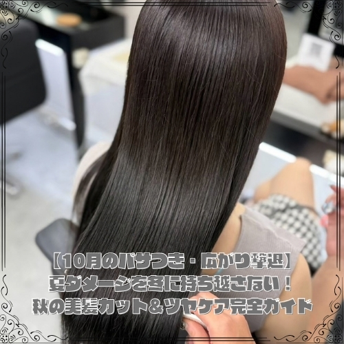 【10月のパサつき・広がり撃退】夏ダメージを冬に持ち越さない！秋の美髪カット＆ツヤケア完全ガイド