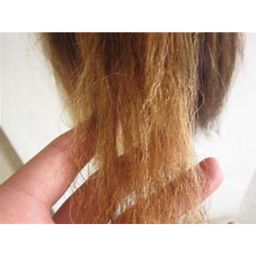 切れ毛の原因と対策